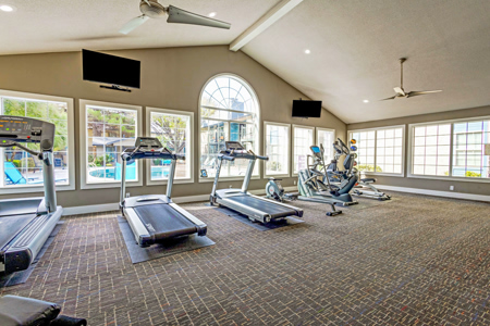 The Enclave photo 18