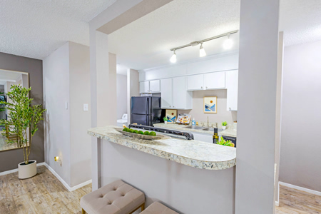 The Enclave photo 35